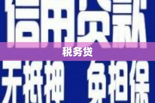 泗县税务贷