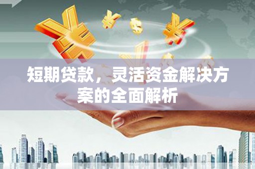 芳苑短期贷款，灵活资金解决方案的全面解析