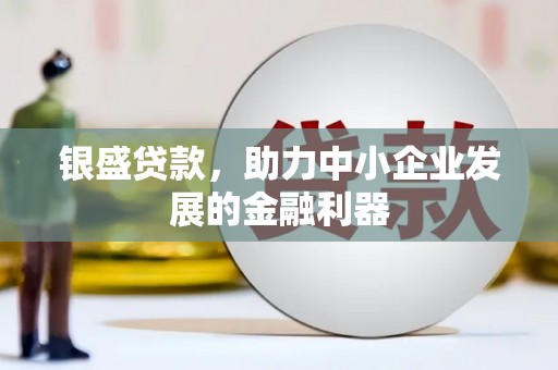 立山银盛贷款，助力中小企业发展的金融利器