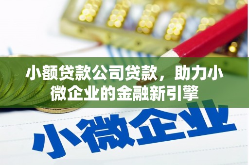 镇宁小额贷款公司贷款，助力小微企业的金融新引擎