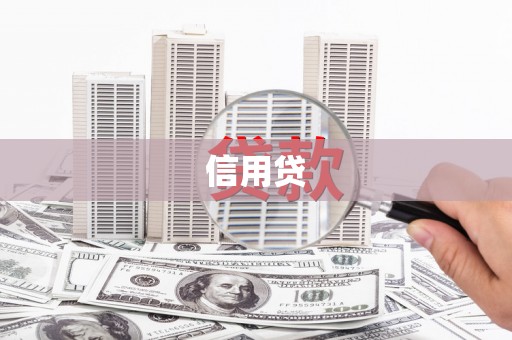 大丰信用贷