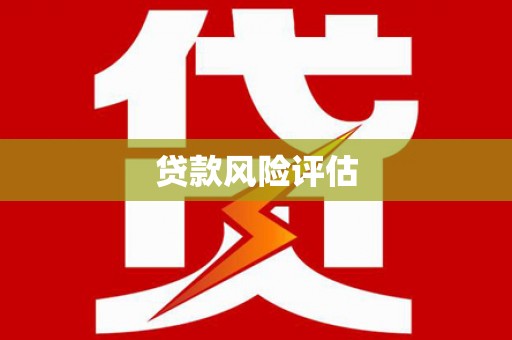 云安贷款风险评估