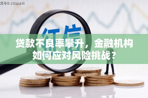 东兰贷款不良率攀升，金融机构如何应对风险挑战？