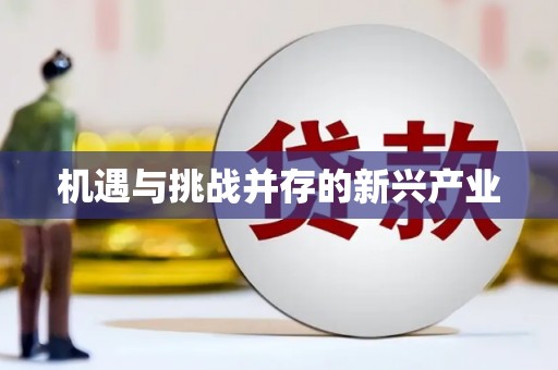 民丰机遇与挑战并存的新兴产业
