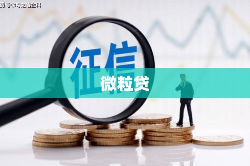 施甸微粒贷