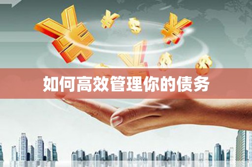 沙依巴克如何高效管理你的债务