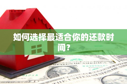 儋州如何选择最适合你的还款时间？