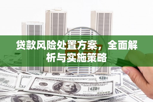 海伦贷款风险处置方案，全面解析与实施策略