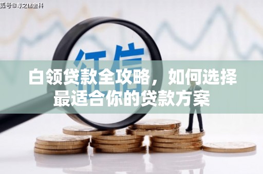 林园白领贷款全攻略，如何选择最适合你的贷款方案