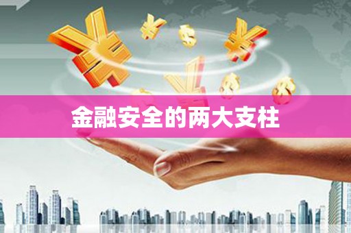 漾濞金融安全的两大支柱