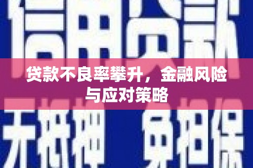 巨野贷款不良率攀升，金融风险与应对策略